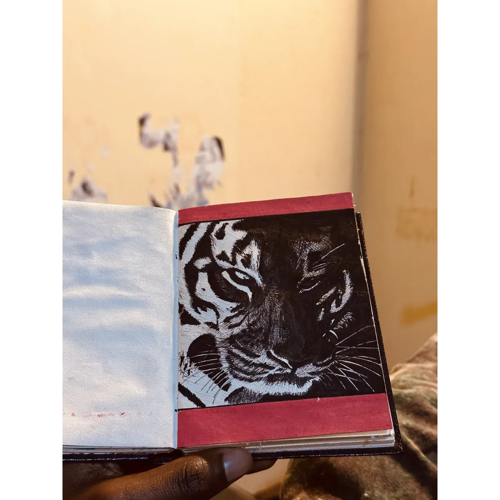 Tiger — Ballpoint pen on paper, 2026