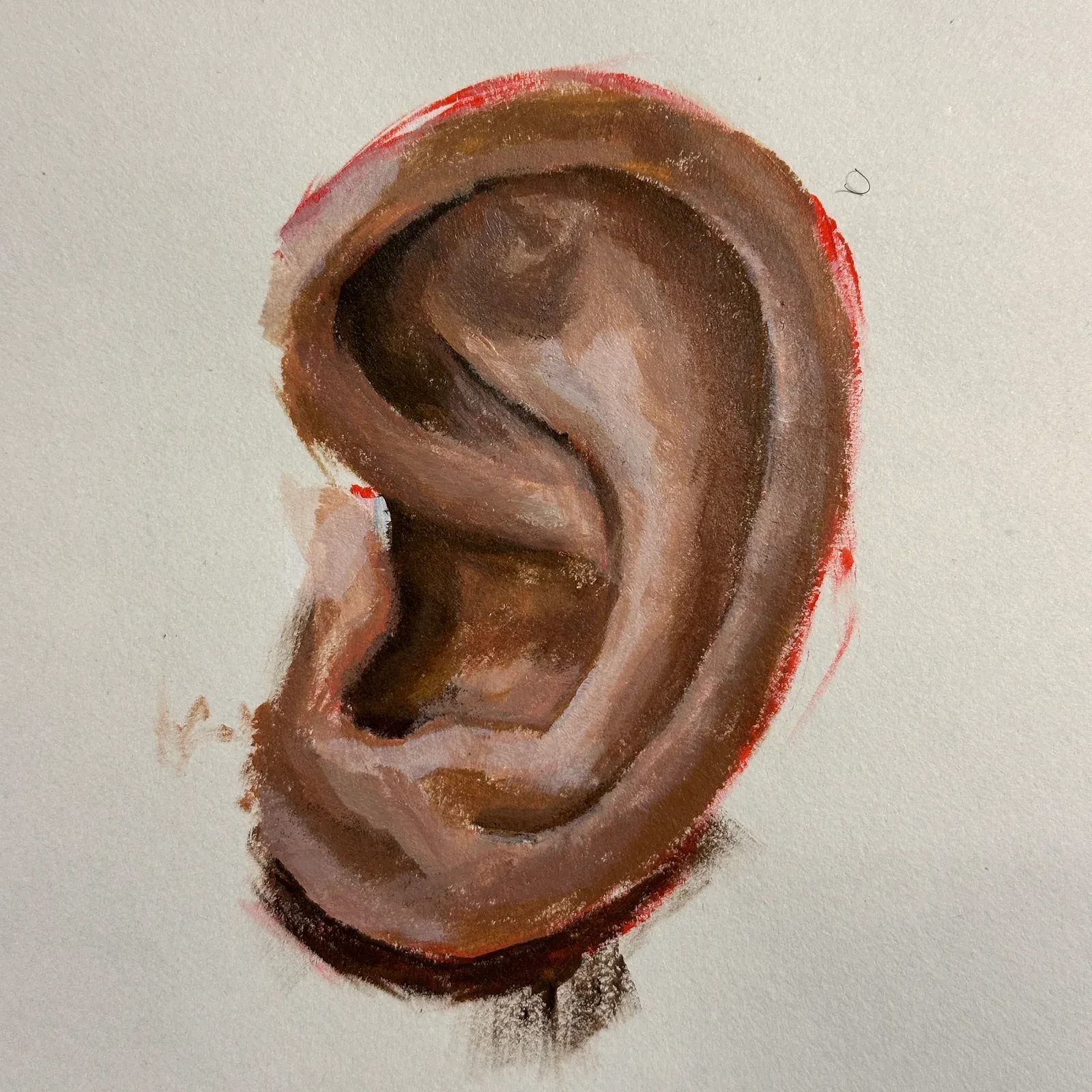 Ear Study — Acrylic on paper, 2026