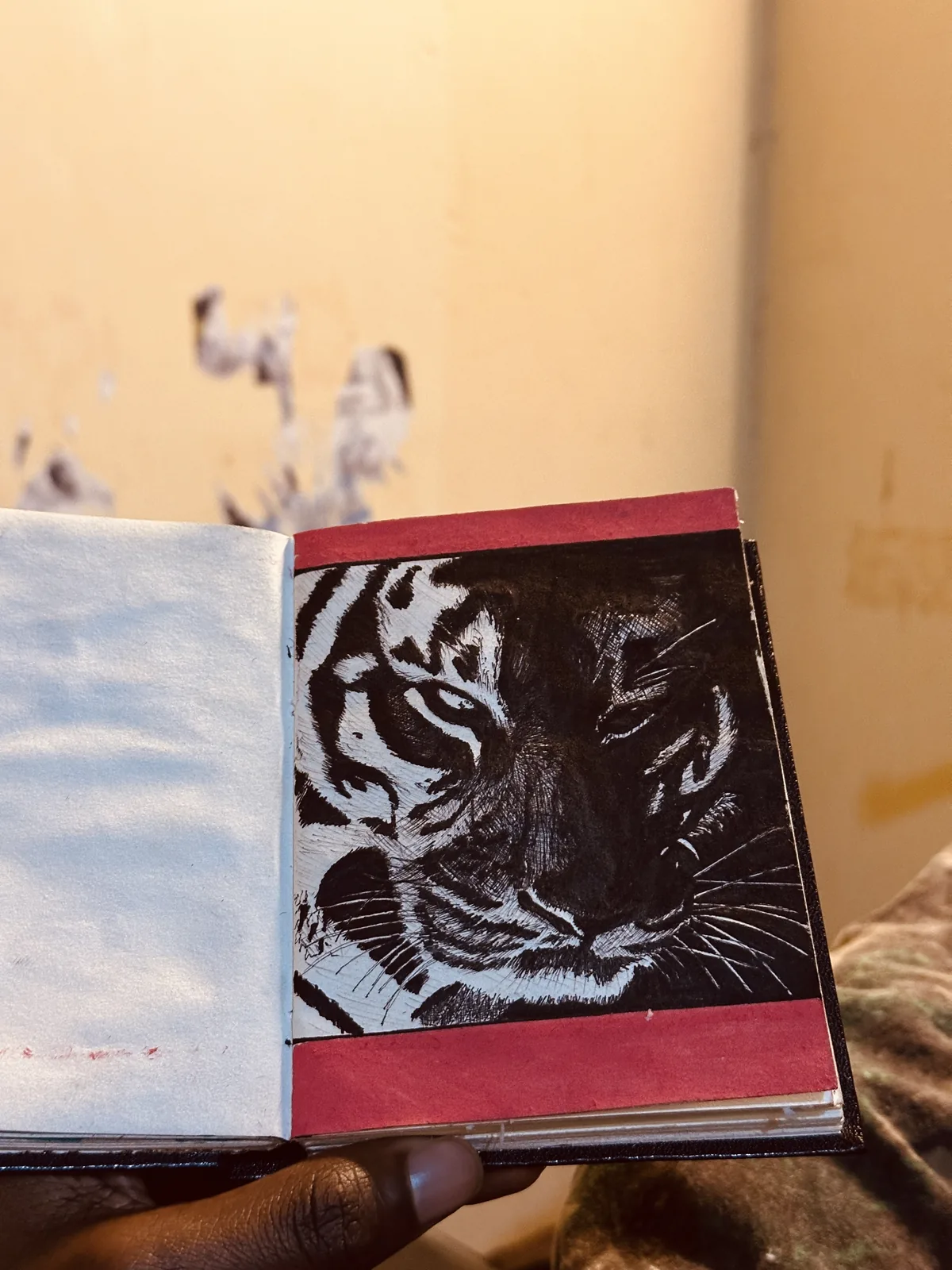 Ballpoint drawing of a tiger's face, from the sketchbook